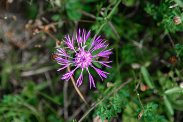 Shawangunk National Wildlife Refuge