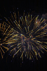 fireworks in the night sky