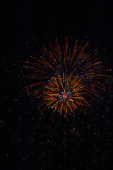 fireworks in the night sky