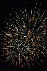 fireworks in the night sky