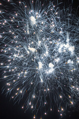 Fototapeta premium fireworks in the night sky