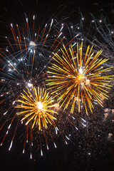 fireworks in the night sky