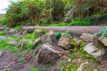 Gas Pipe of the moors