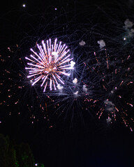 fireworks in the night sky
