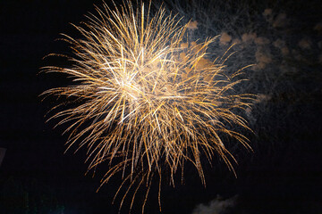 Obraz premium fireworks in the night sky