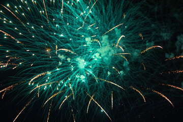 fireworks in the night sky