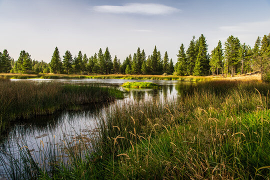 Swan Pond At Turnbull National Wildlife Refuge