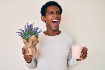 Indian man drinking a cup of infused lavender angry and mad screaming frustrated and furious,...