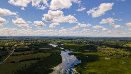 Distant aerial view of a wetland and forest in summer