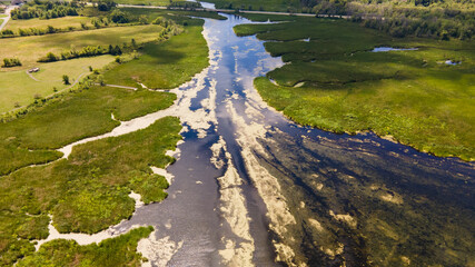 Distant aerial view of a wetland and forest in summer