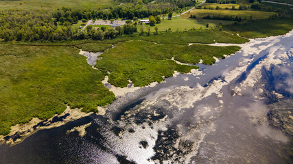 Distant aerial view of a wetland and forest in summer