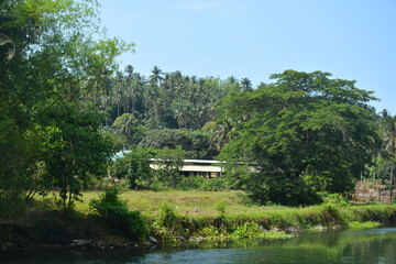 Farm with trees green leaves and river water during daytime