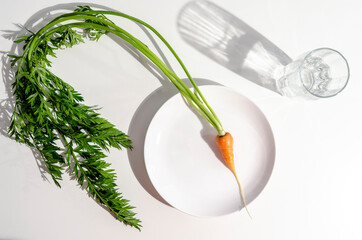 Diet concept. One carrot on the plate on whte