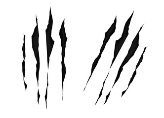 Claws  scratches isolated on white background. Print claw marks, tiger, bear or monster. Scratches, horror concept. Claws marks of a monster or wild beast. Vector illustration - obrazy, fototapety, plakaty
