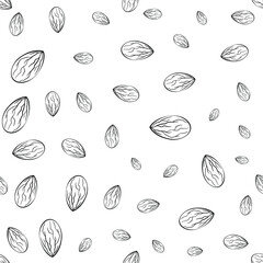 Almonds line seamless pattern in hand-drawn style Vector illustration with small and big almond seeds on white background