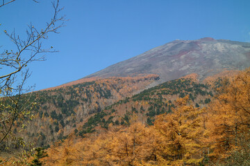 富士山の秋