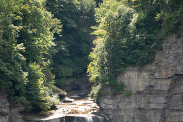 Trees over waterfalls