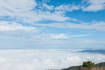 Beautiful sea of clouds