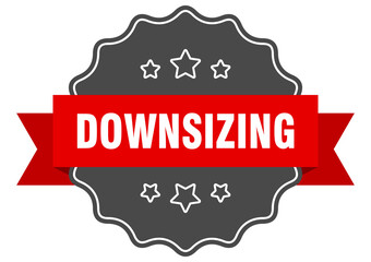 downsizing label. downsizing isolated seal. sticker. sign