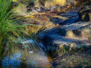 Three Steps To Water