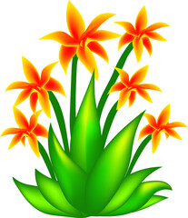 tropical flowers vector illustration