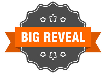 big reveal label. big reveal isolated seal. sticker. sign