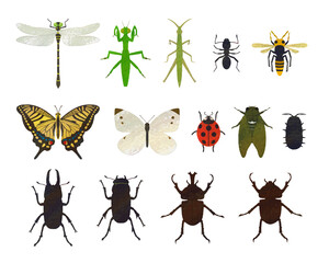 Insect illustration set material / analog style