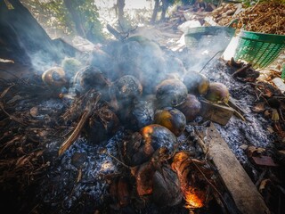 Burning aromatic coconut signature of Thailand. about coconut burning 