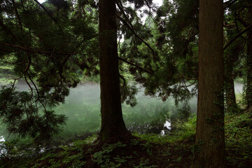 《秋田県・大潟村ジオパーク》滝の頭湧水