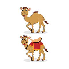 illustration vector graphic of cute camel animal character cartoon isolated, perfect for cover, book, birthday card, gift card, wrap paper, sticker, t-shirt, memo, decoration