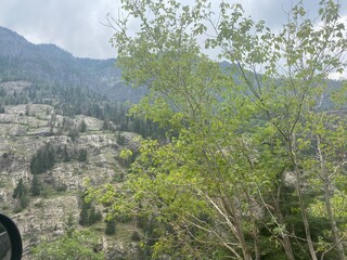 mountain landscape with trees