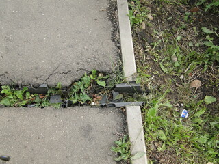 rain drain from the asphalt sidewalk overgrown with grass