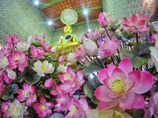 Blooming lotus under the Buddha statue at Wat Chaloem Phra Kiat Worawihan, Nonthaburi, THAILAND.