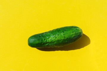 Fresh green cucumber with a tough clear shadow on a yellow background. Template for a pattern