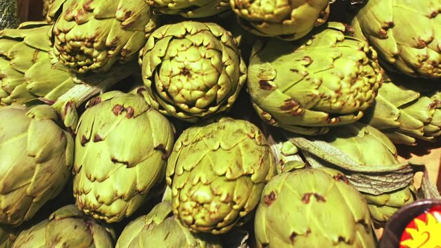 Closeup of fresh young buds of artichokes. Food background. High quality FullHD footage