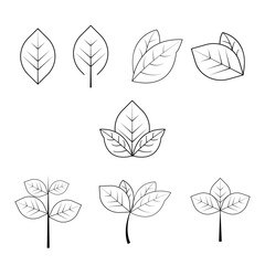 set of vector leaves