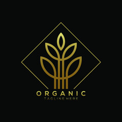 Gold leaf plant vector logo with square line background