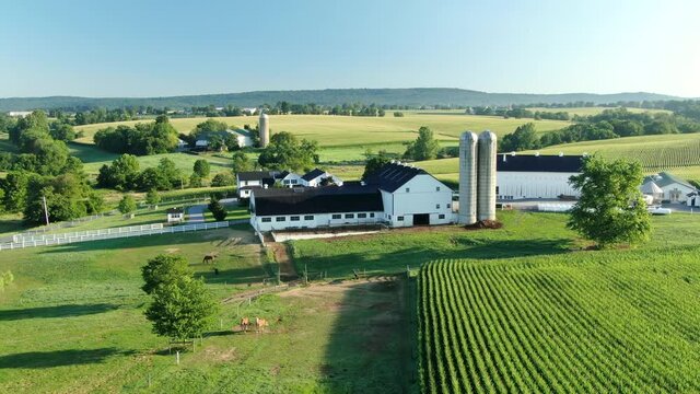 Black and white farm barn buildings in United States, rural America agriculture farming concept, aerial pullback reveal shot