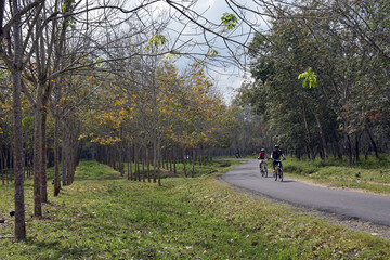 Fototapeta na wymiar cycling in the park
