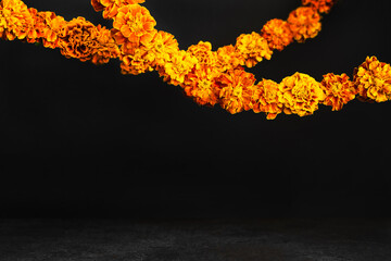 Marigold flowers Garlands on black. Dia de los muertos day, day of the dead or halloween...