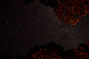 Lake Herman Stars over capsite
