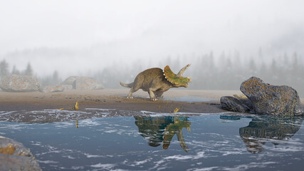 Triceratops horridus, dinosaur on the beach © dottedyeti