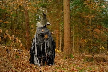  Halloween holiday. witch in green hat and torn old cloak in autumn forest. Carnival holiday in October.Magic rituals and ceremonies.Halloween party