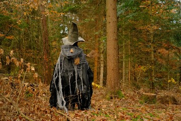  Halloween holiday. witch in green hat and torn old cloak in autumn forest. Carnival holiday in...