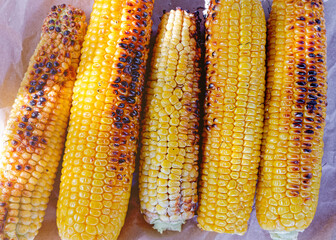 Grilled corn. There are burnt peel and coals on the grain. Seasonal street food, picnic cooking.