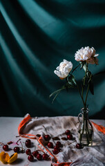 still life with peonies on a dark background. summer bouquet of peonies. pink and white peonies on a blue background. summer flowers for interior decoration. flowers for weddings and celebrations
