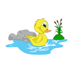 illustration vector graphic of cute  duck animal character cartoon isolated, perfect for cover, book, birthday card, gift card, wrap paper, sticker, t-shirt, memo, decoration