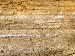 sandstone background 1