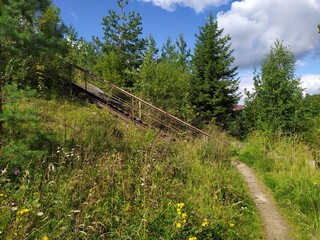 Rural landscape at summer