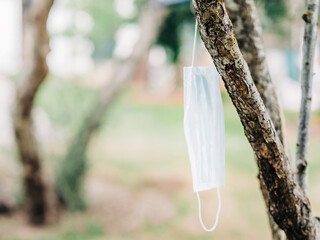 A used face mask hangs from a tree branch.